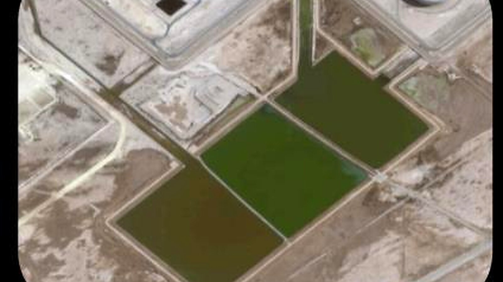 On-site photo of the plant