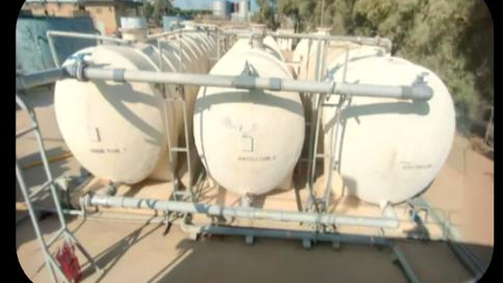 On-site photo of the plant